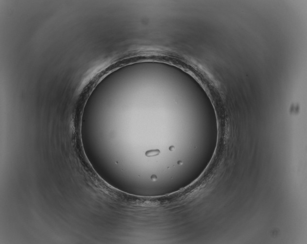 X0000090771261200708031645
