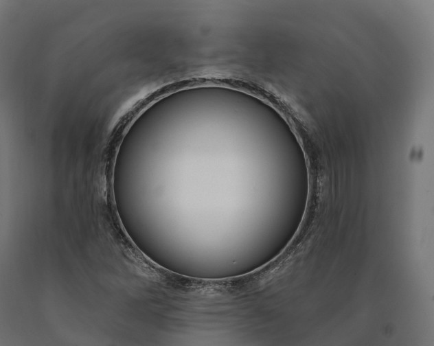 X0000090771262200708031645