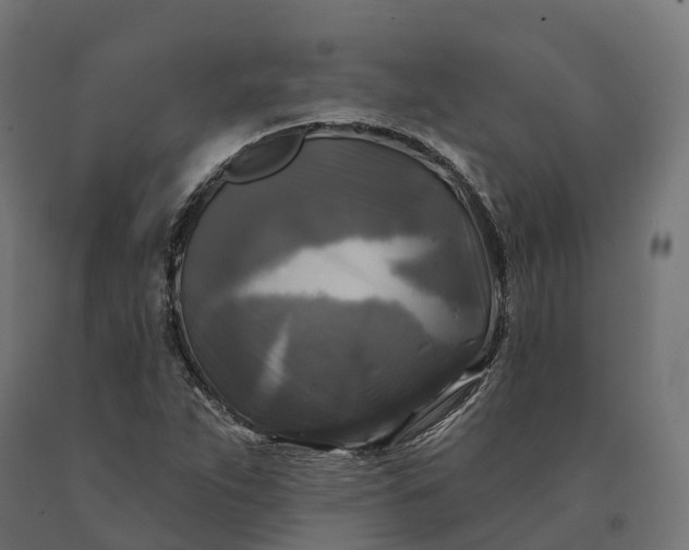 X0000090771263200708031645