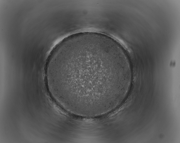 X0000090771264200708031645