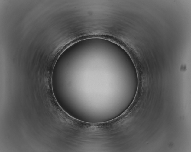 X0000090771265200708031645