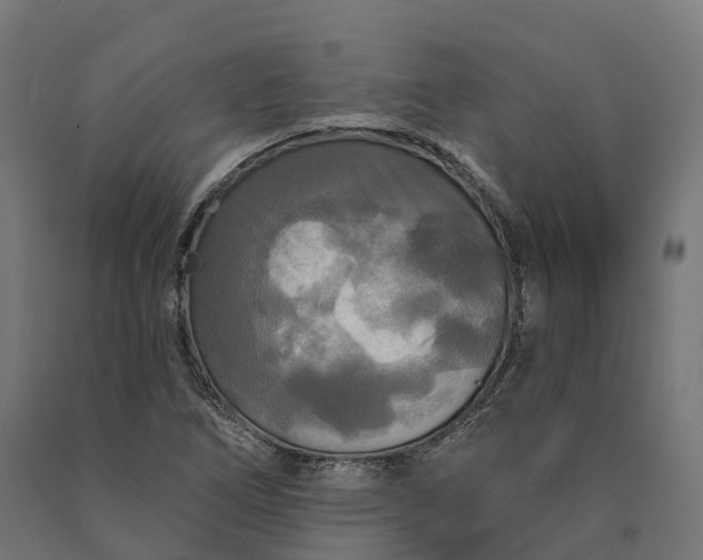 X0000090771266200708031645