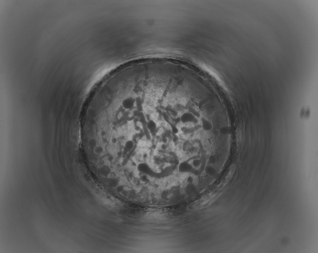 X0000090771267200708031644