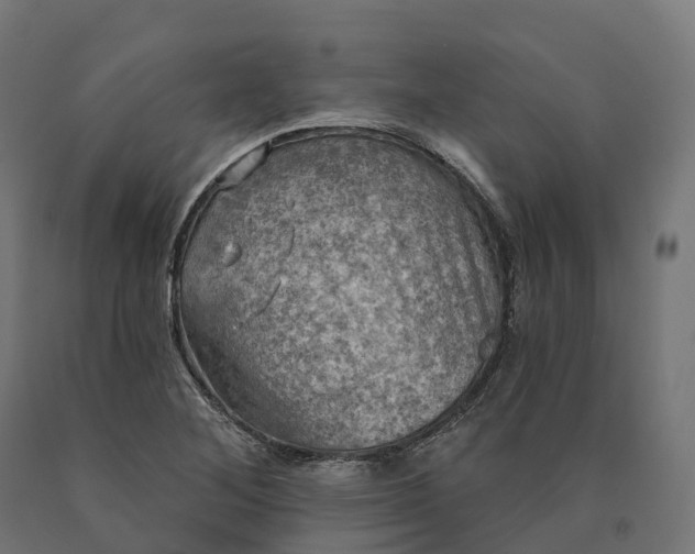 X0000090771268200708031644