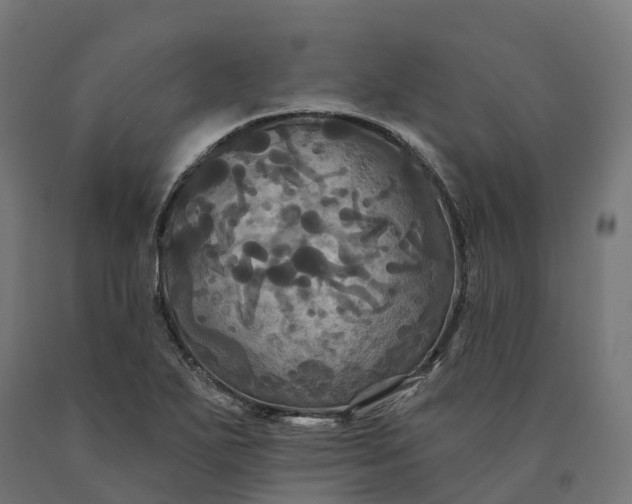 X0000090771271200708031644