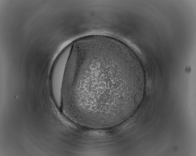 X0000090771272200708031644