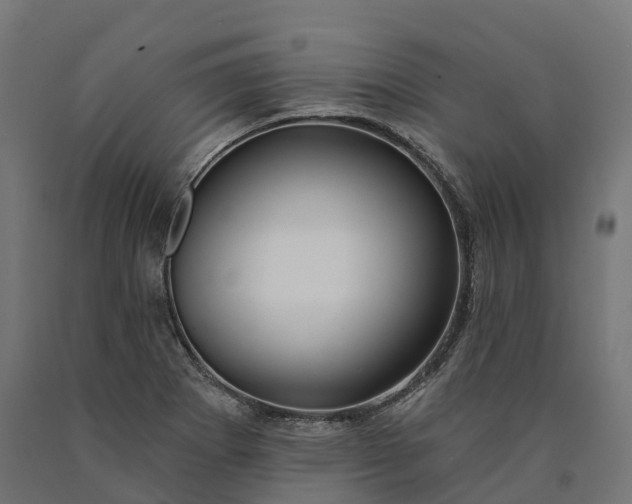 X0000090771273200708031644