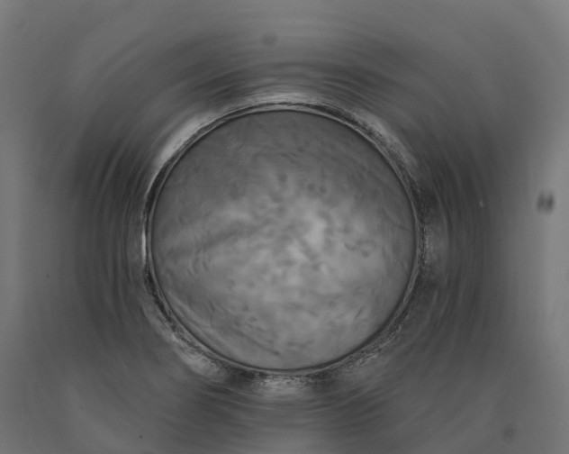X0000090771274200708031644