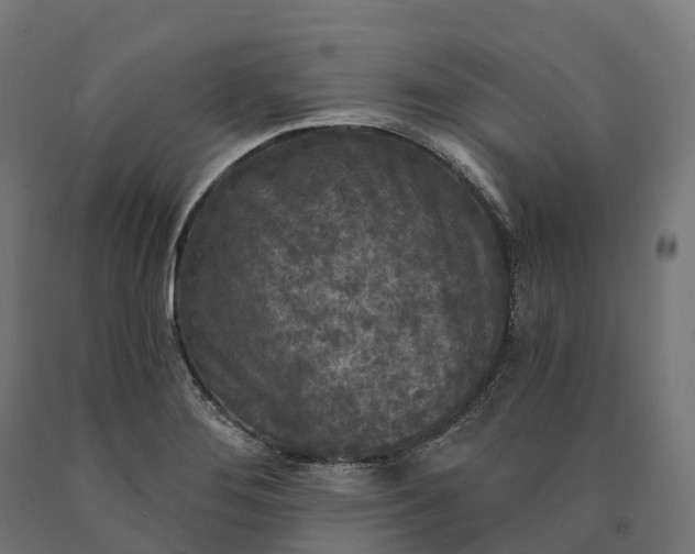 X0000090771276200708031644