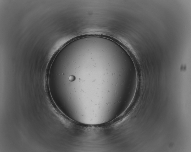 X0000090771277200708031644