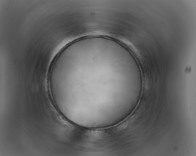 X0000090771278200708031644