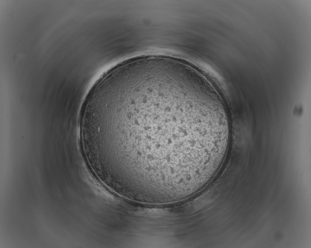 X0000090771280200708031644