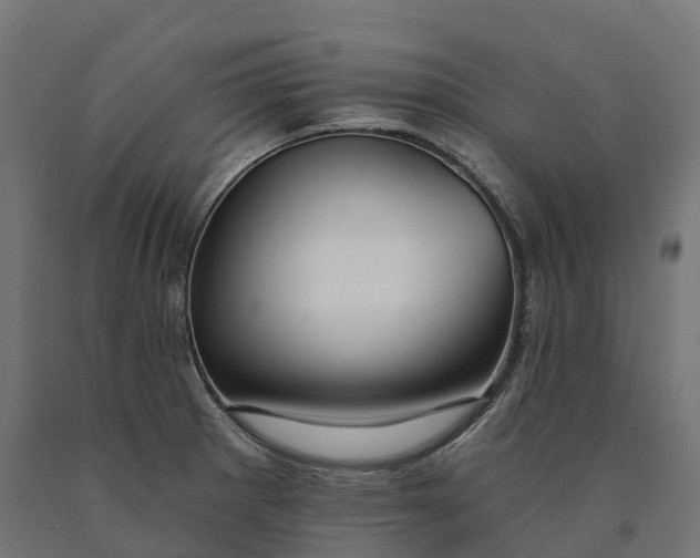X0000090771281200708031644