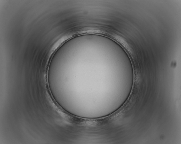 X0000090771282200708031644