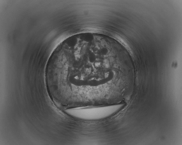 X0000090771283200708031644