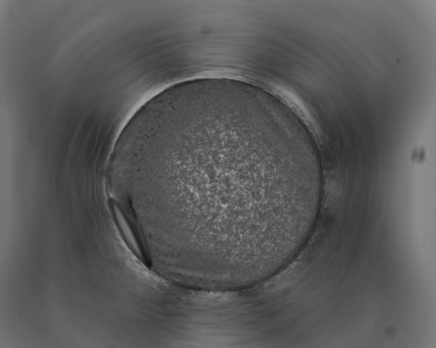 X0000090771284200708031644