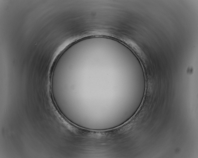 X0000090771286200708031644