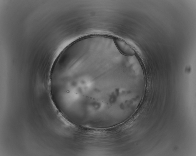 X0000090771287200708031644
