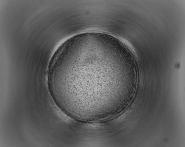 X0000090771288200708031644