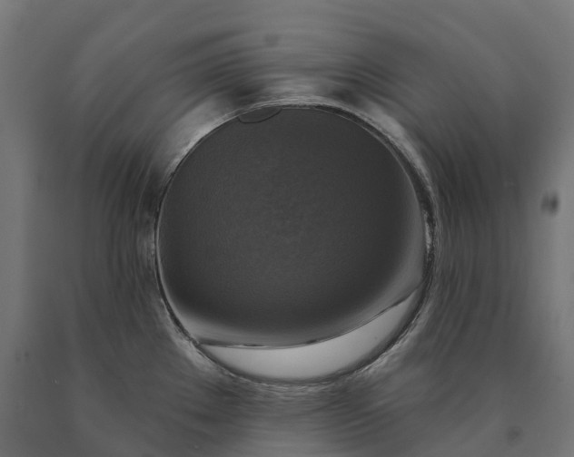 X0000090771289200708031644