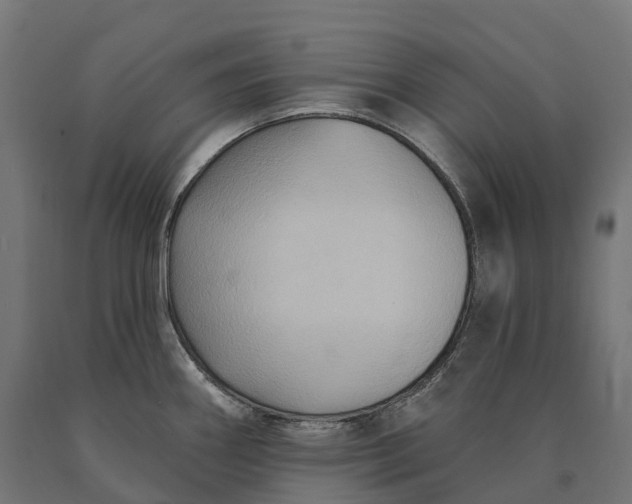 X0000090771290200708031644