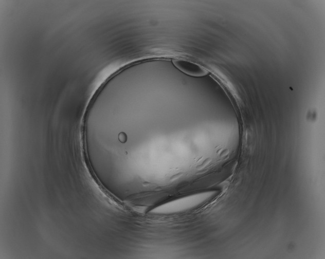 X0000090771291200708031644