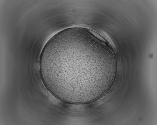 X0000090771292200708031644