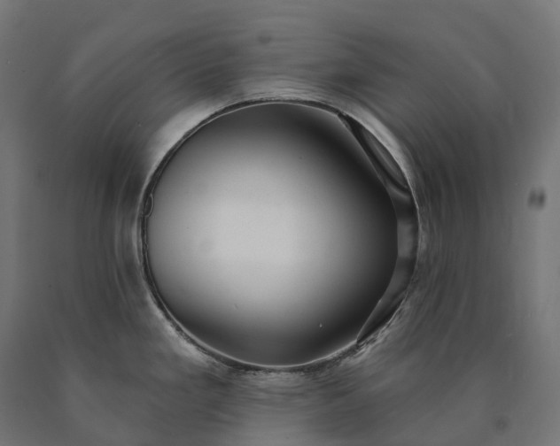 X0000090771293200708031644