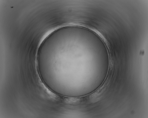 X0000090771294200708031644