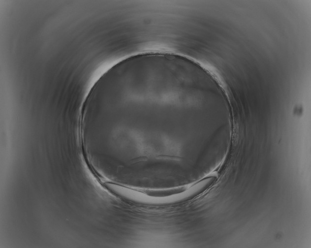 X0000090771295200708031644