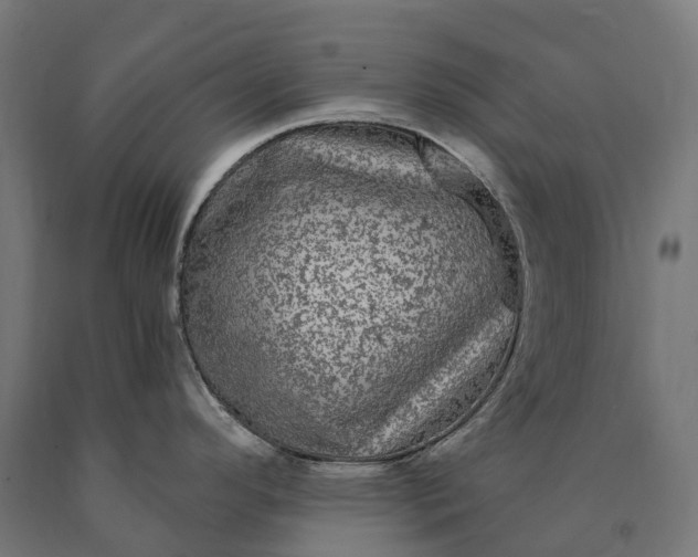 X0000090771296200708031644