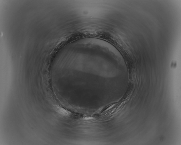 X0000090771297200708031643