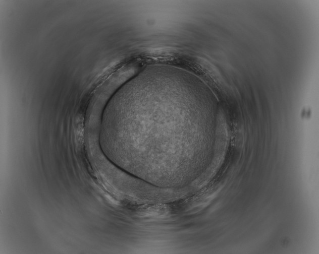 X0000090771298200708031643