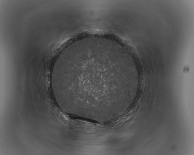 X0000090771301200708031643