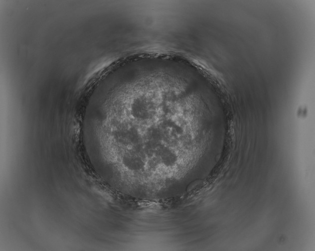 X0000090771302200708031644