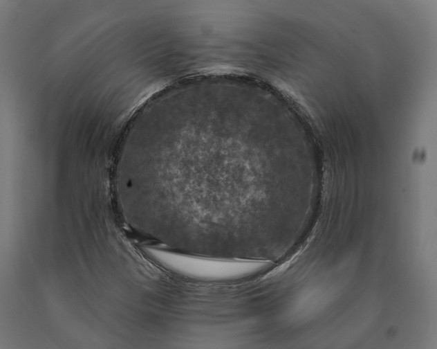 X0000090771305200708031644