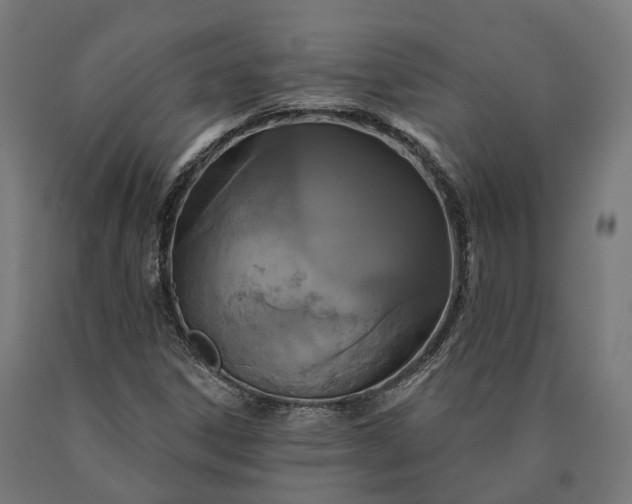 X0000090771306200708031644