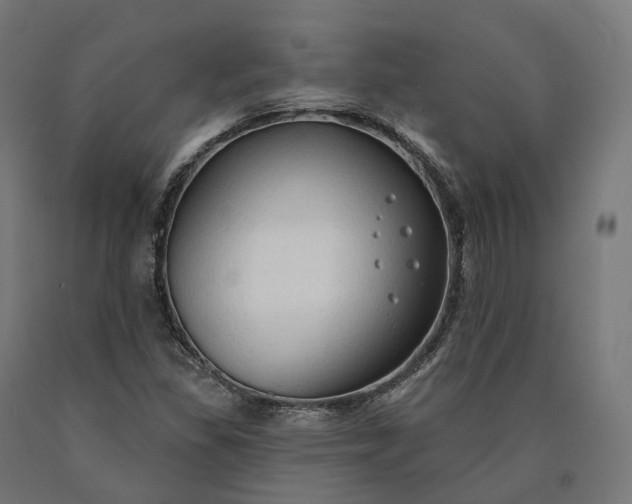 X0000090771309200708031644