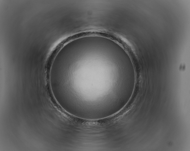 X0000090771310200708031644