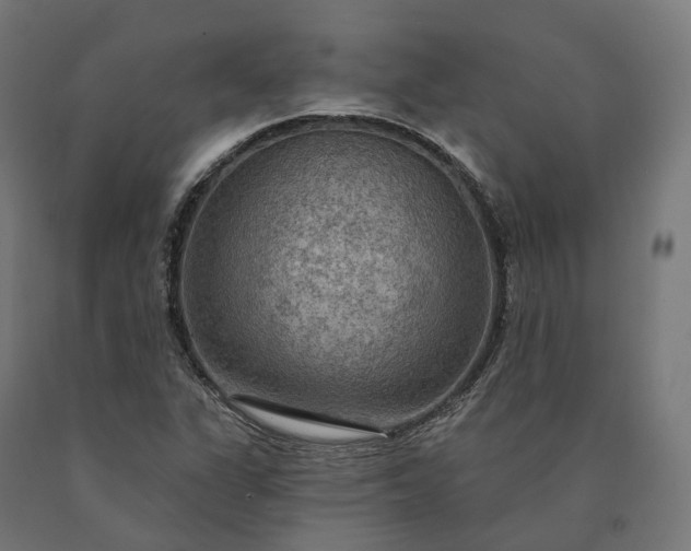 X0000090771311200708031644