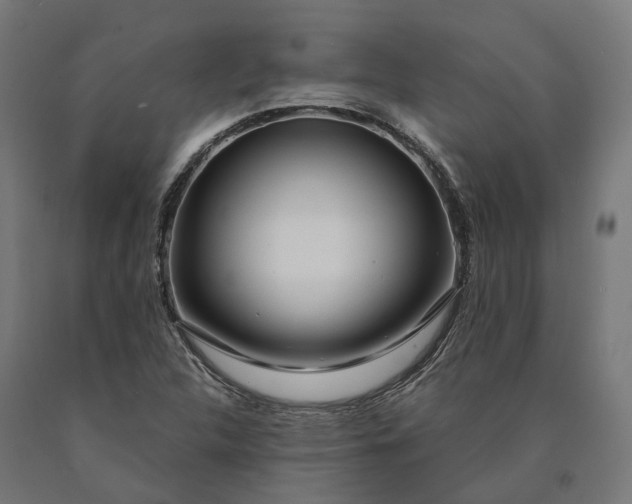 X0000090771312200708031644