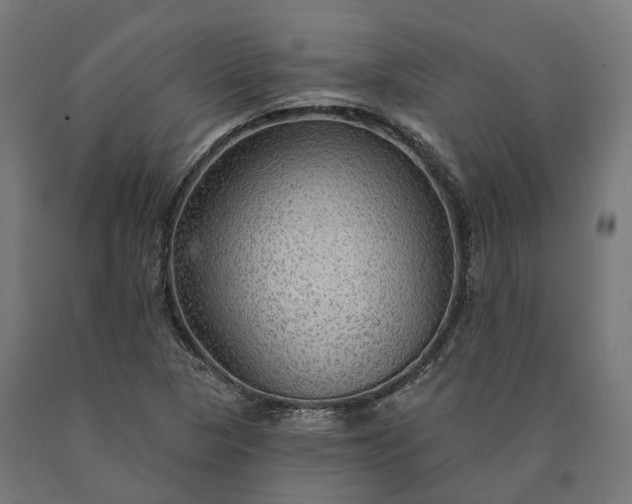 X0000090771313200708031644