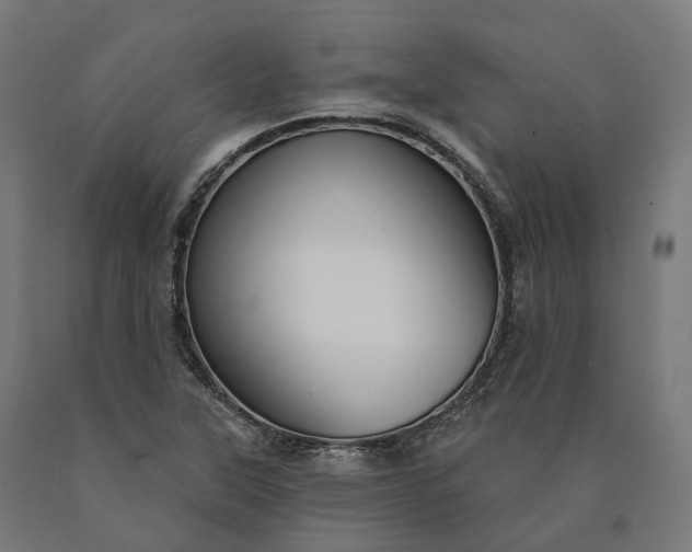 X0000090771315200708031644