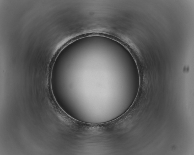 X0000090771316200708031644