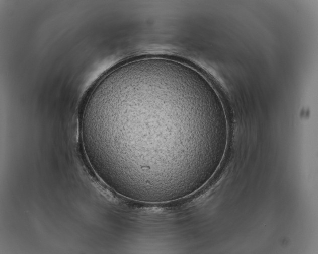 X0000090771317200708031644