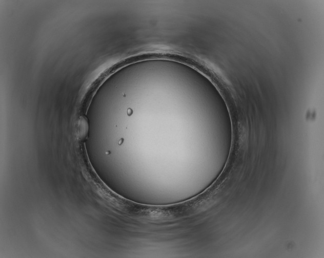 X0000090771318200708031644