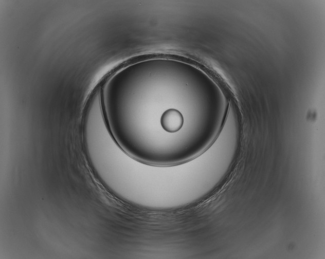 X0000090771320200708031644