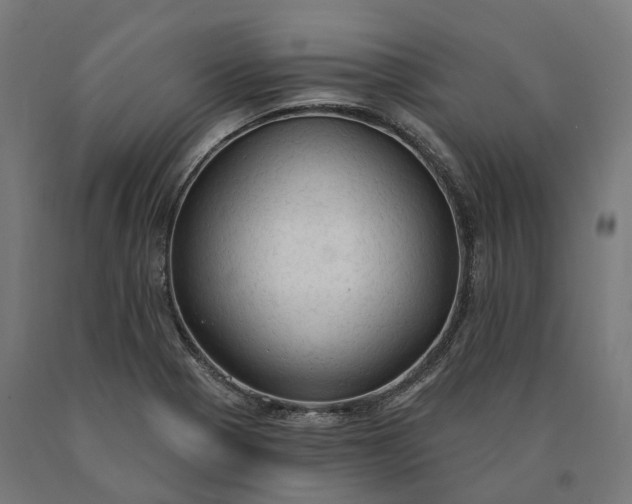 X0000090771321200708031644