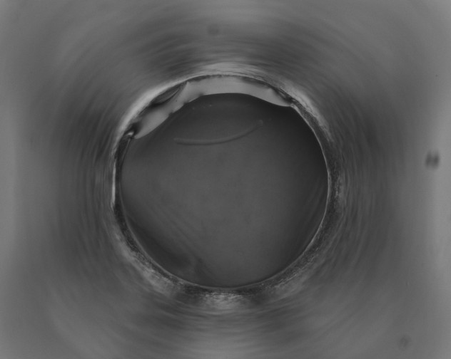 X0000090771323200708031644