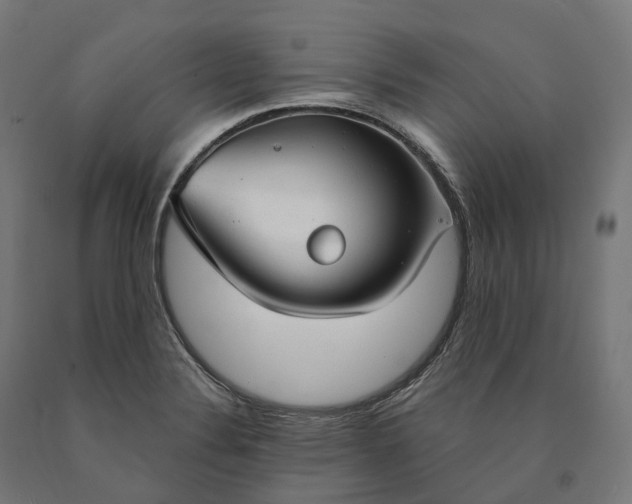 X0000090771324200708031644